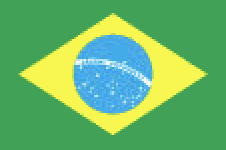 Português (Brasil)